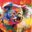 Koala 11